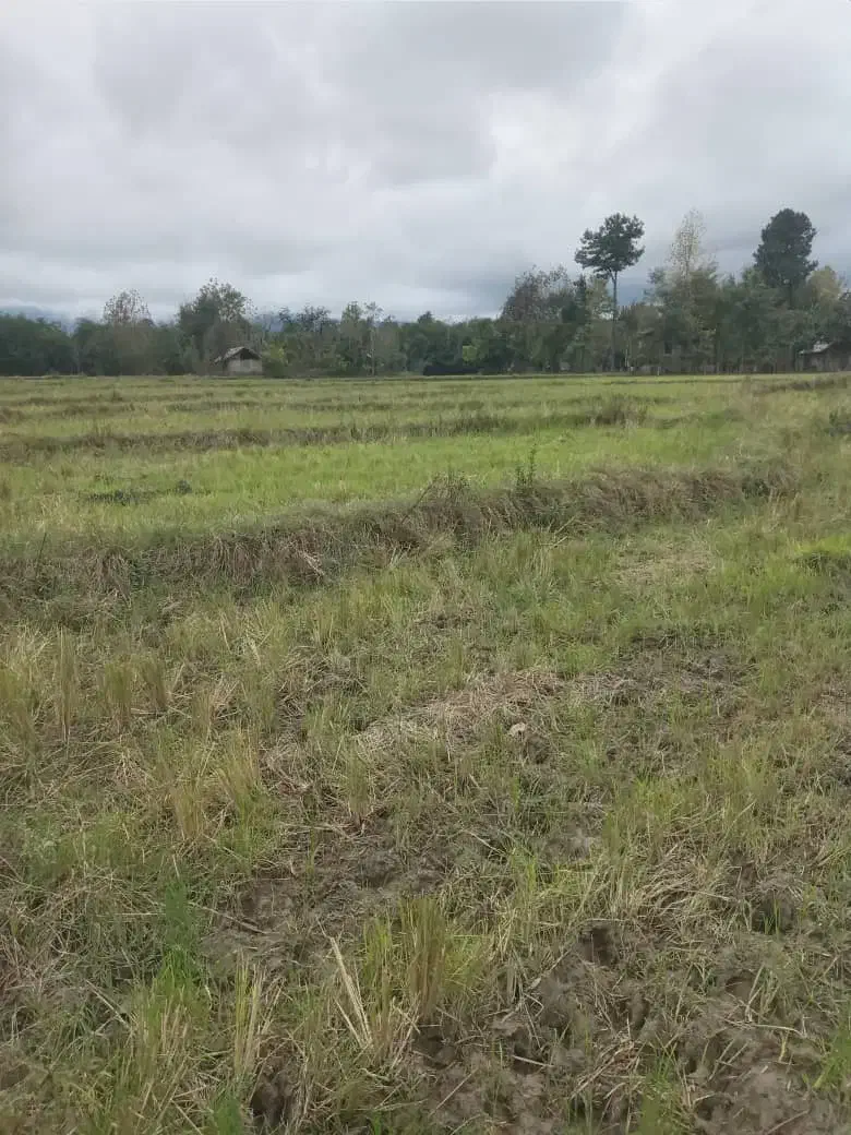 فروش (۵۱۰۰ )مترخونه محوطه و شالیزار|فروش زمین و ملک کلنگی|شفت, |دیوار