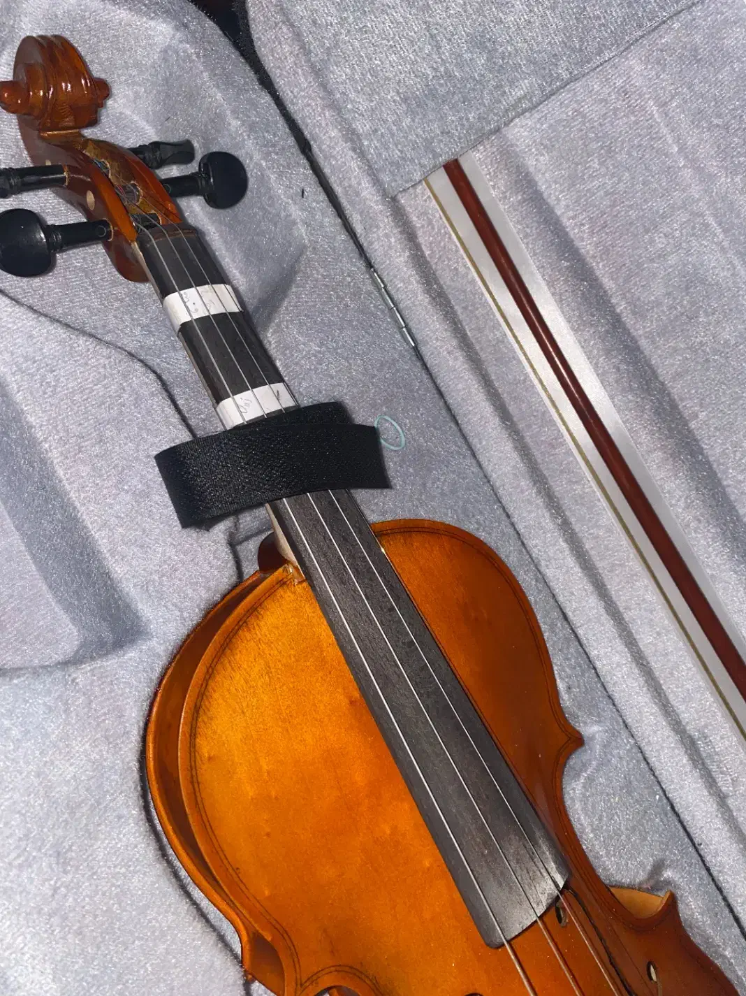 ویولن|ویولن|آستارا, |دیوار