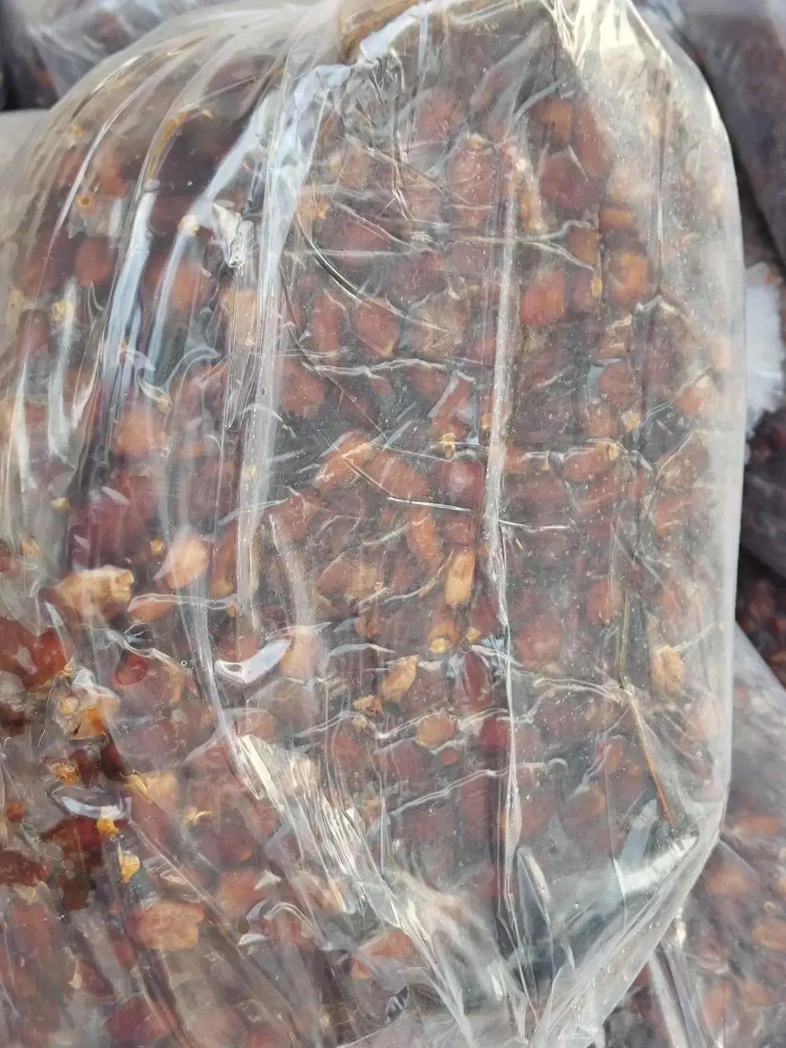 خرمای تخصصی آبگیری|عمده‌فروشی|تهران, قزل قلعه|دیوار