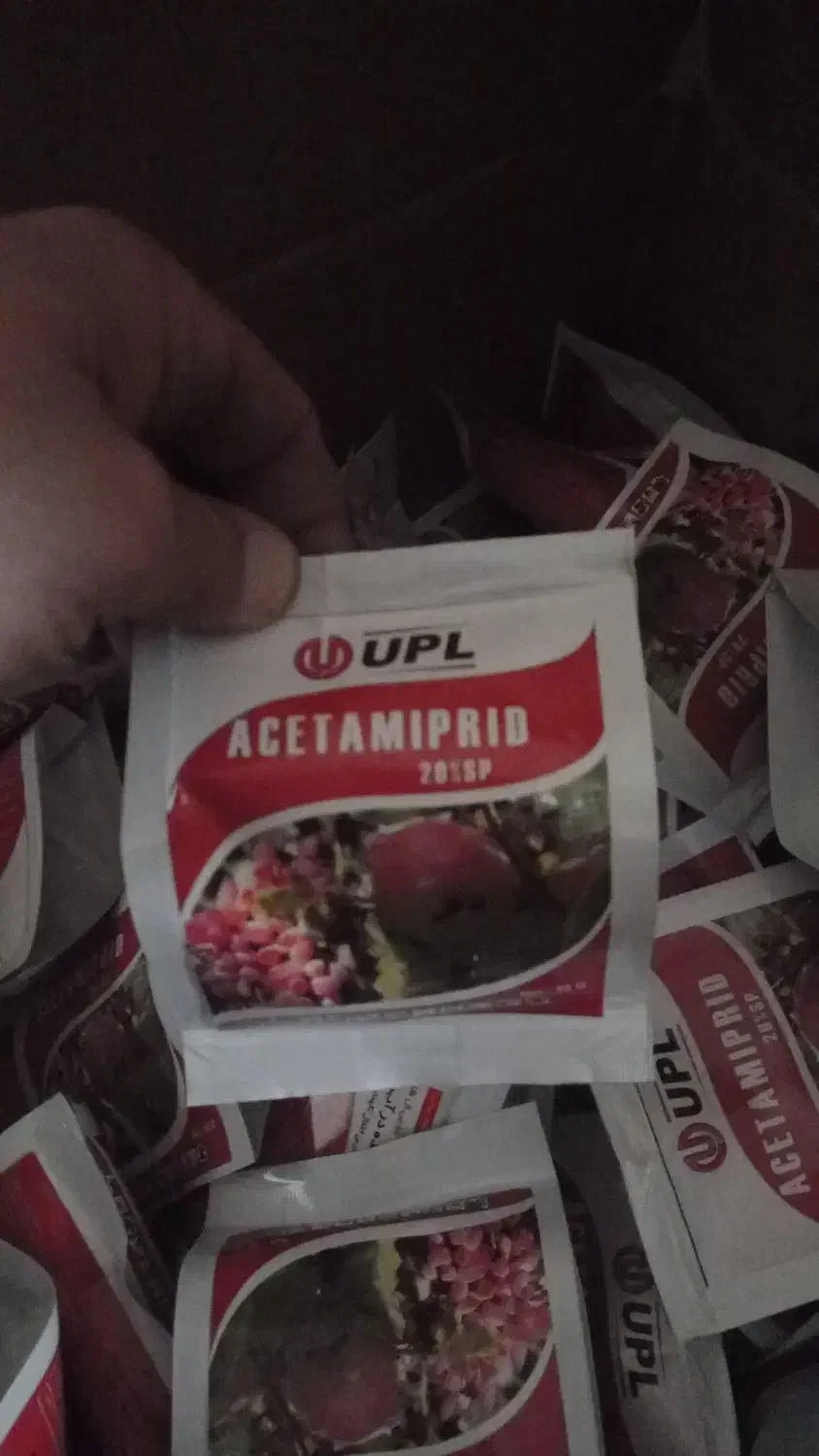 سم پاش|ابزارآلات|کرج, دهقان ویلا|دیوار