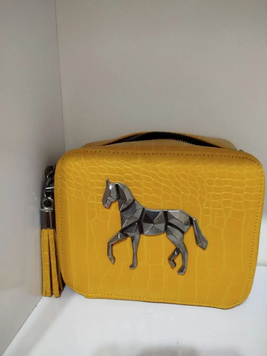 کیف وکفش|کیف، کفش، کمربند|تربتحیدریه, باغ سلطانی|دیوار