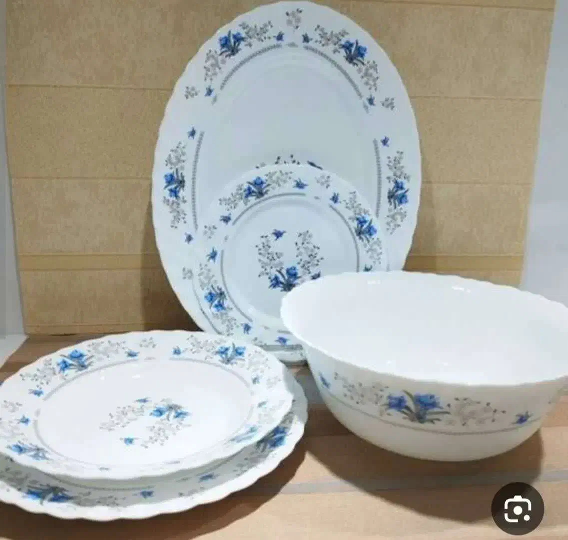 فروش عمده و تکی ظروف چینی اَرکوپال اصل|ظروف سرو و پذیرایی|رفسنجان, |دیوار