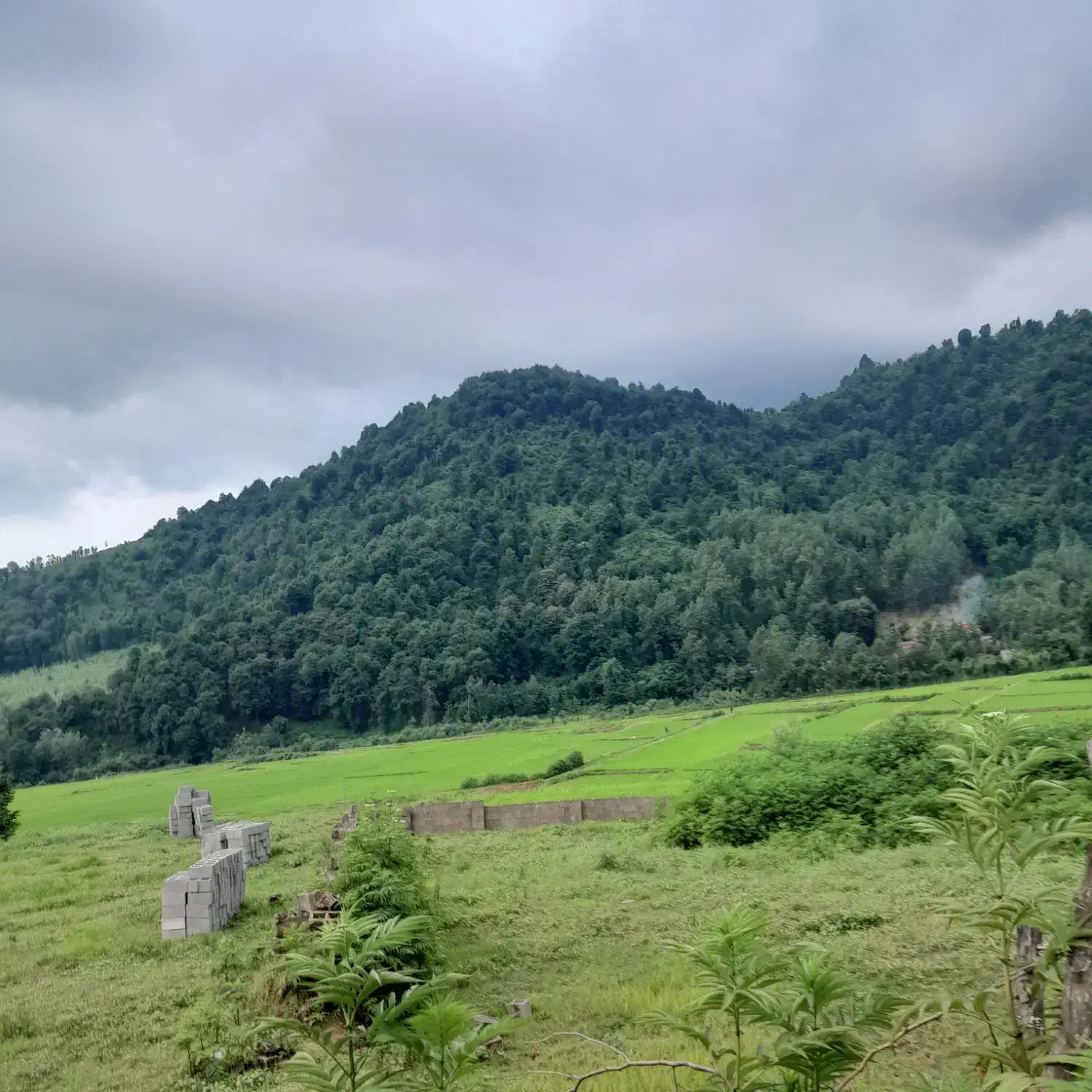 سویت۶۰متریطبقههمکفدربکوچکماسال|اجارهٔ کوتاهمدت ویلا و باغ|ماسال, |دیوار