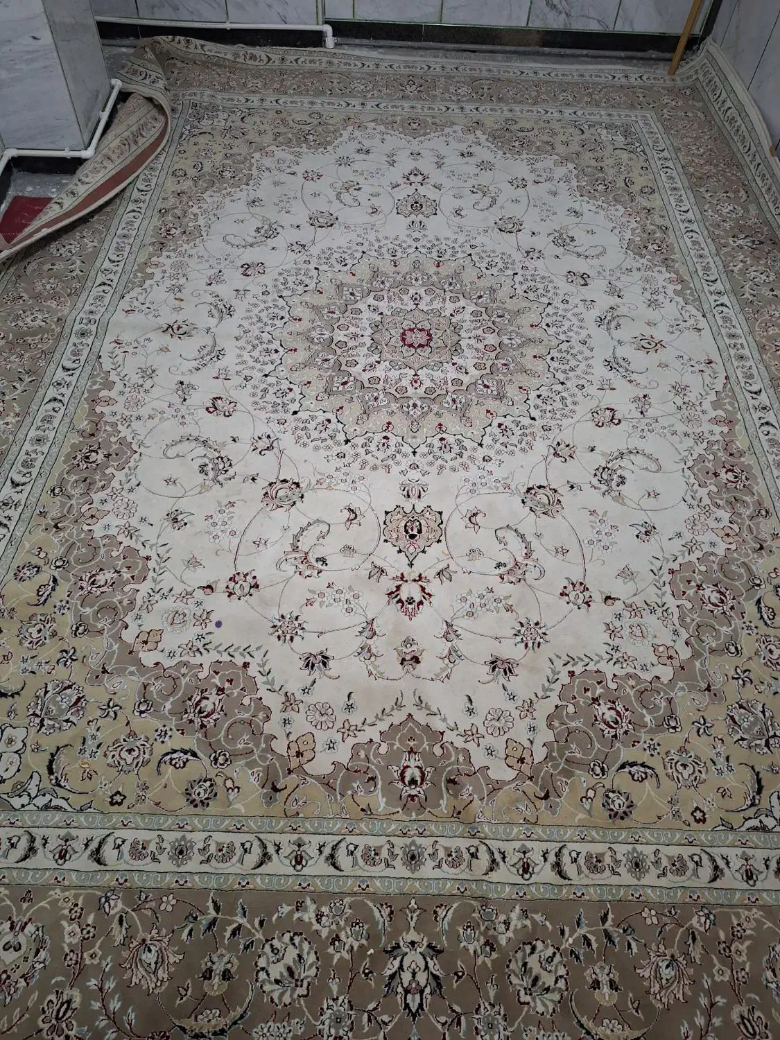 فرش 12 متری|فرش|کرمانشاه, |دیوار