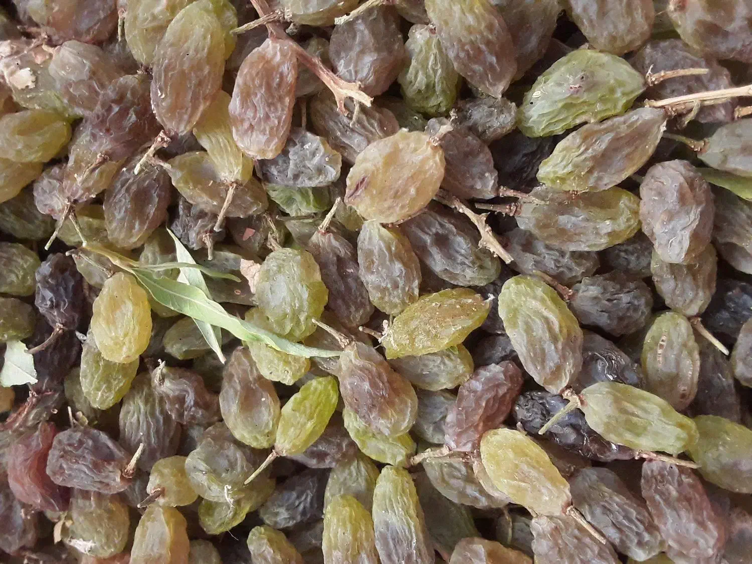 سایه خشک و شیره به شرط تست|خوردنی و آشامیدنی|زند, |دیوار