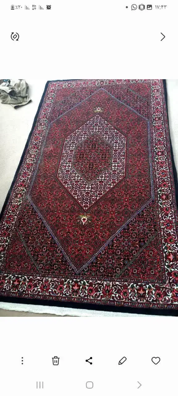 فرش زرنیم پر خونه|فرش|زنجان, |دیوار