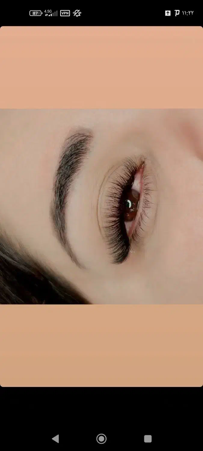 اکستنشن تخصصی مژه لیفت ابرو لیفت و لمینت مژه|خدمات آرایشگری و زیبایی|فسا, |دیوار