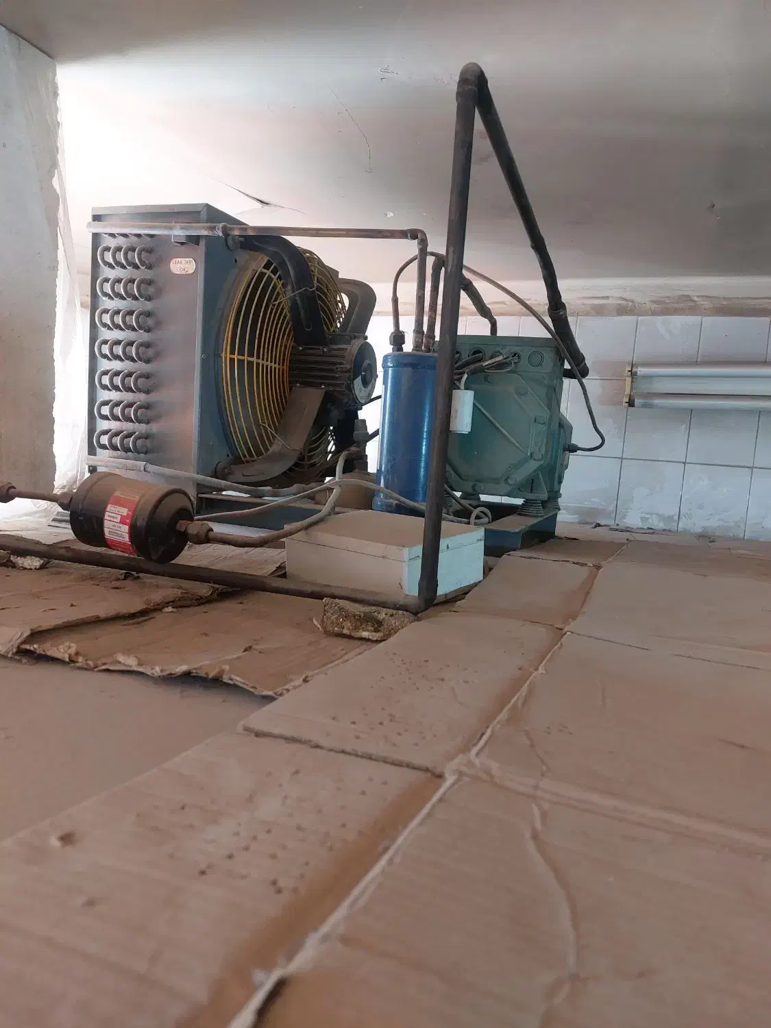 سردخانه|فروشگاه و مغازه|کرمان, |دیوار