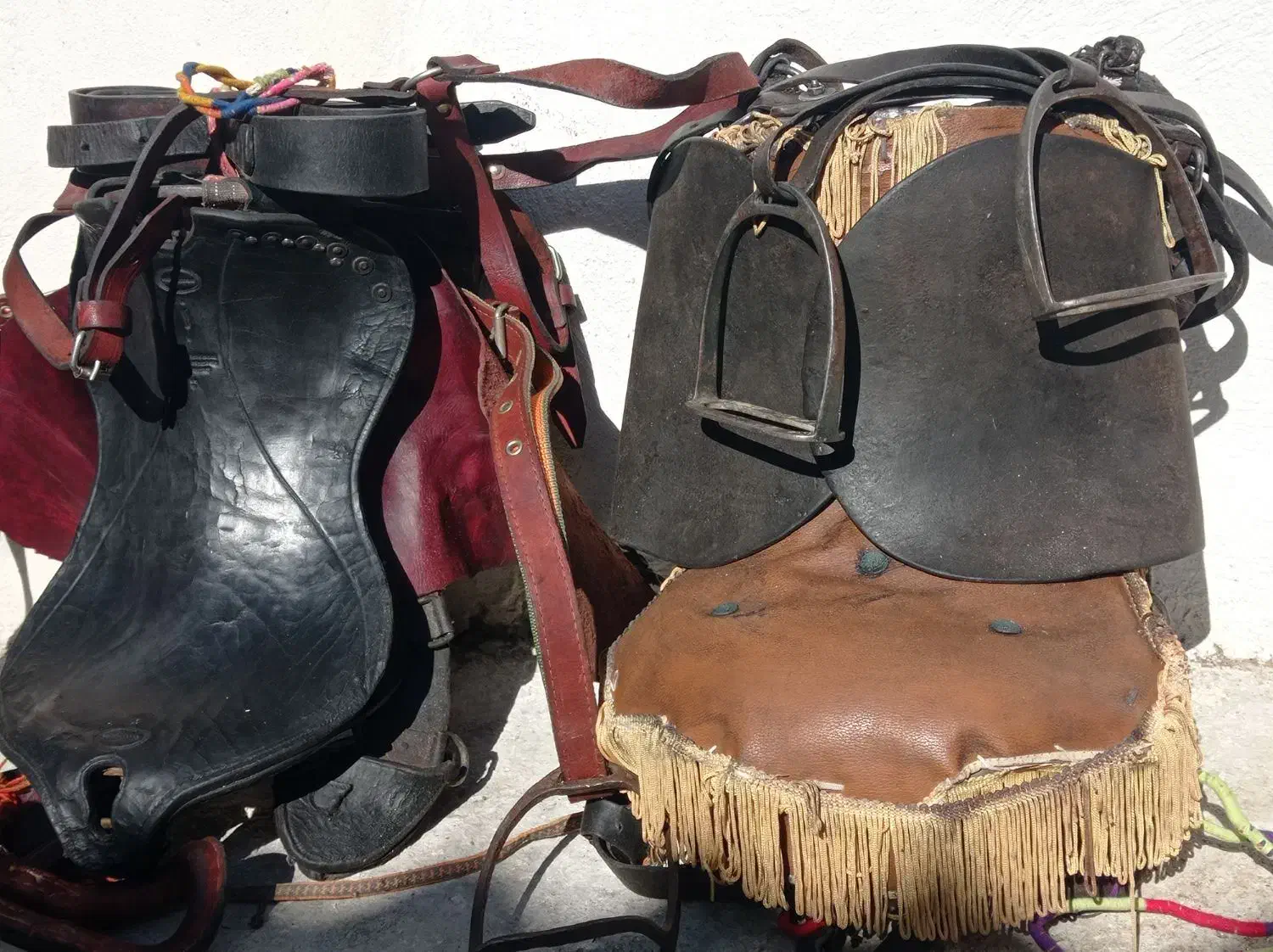 زین برنو|اسب و تجهیزات اسب‌سواری|دورود, |دیوار