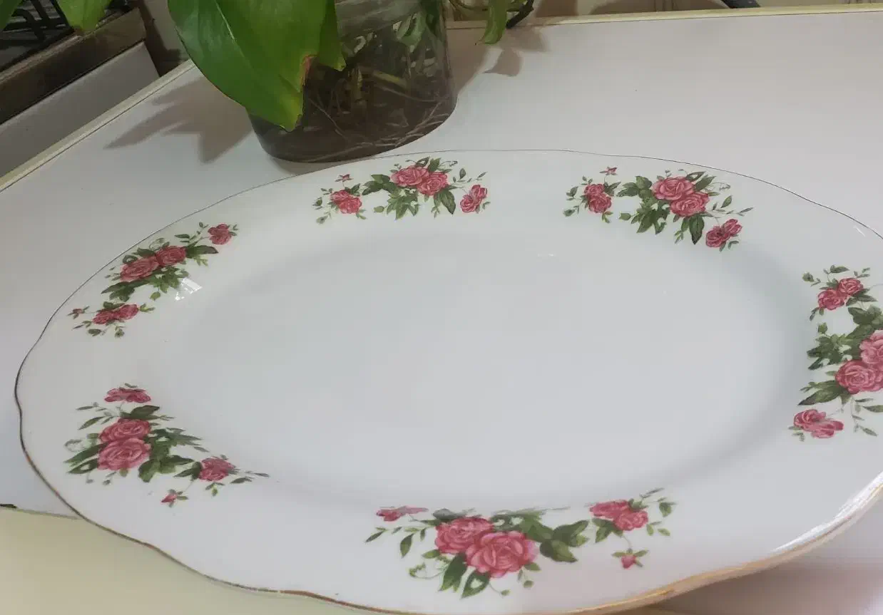 دیس برنج خوری سایز بزرگ|ظروف سرو و پذیرایی|فولادشهر, ورزشگاه فولادشهر|دیوار