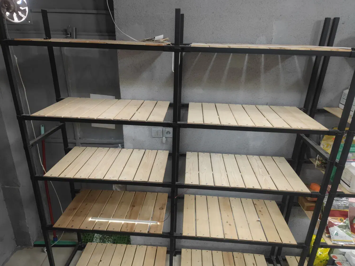 طبقه|کتابخانه، شلف، قفسههای دیواری|مرودشت, ابوذر جنوبی|دیوار