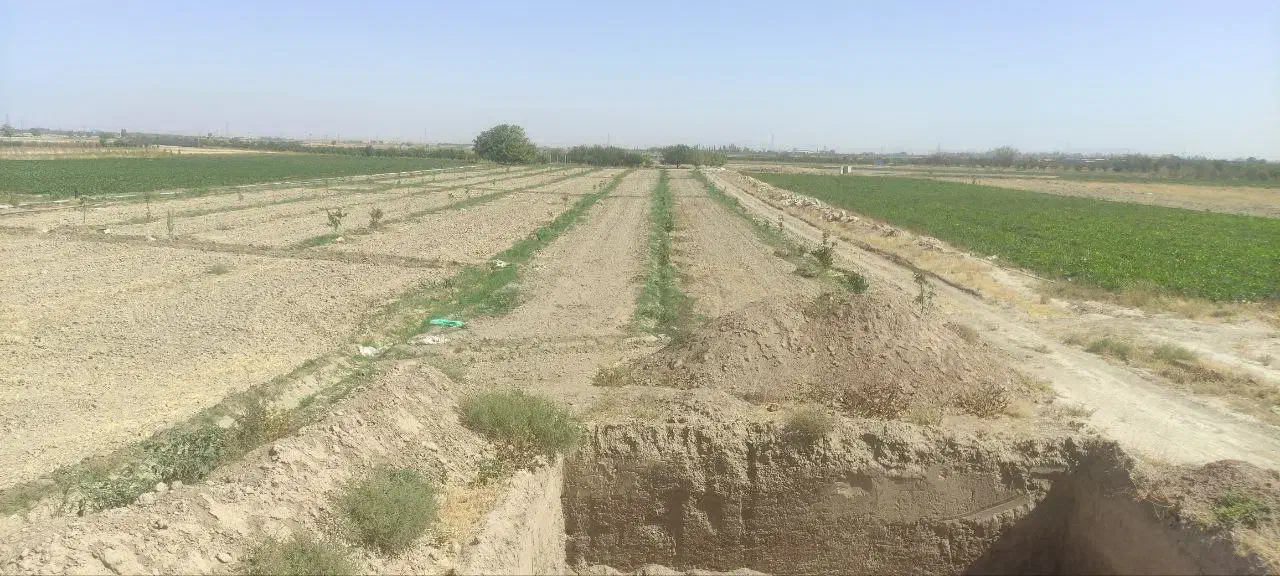 زمین کشاورزی با ۴۵۰عدد درخت گردو اسرائیلی|فروش دفتر صنعتی، کشاورزی، تجاری|چناران, |دیوار