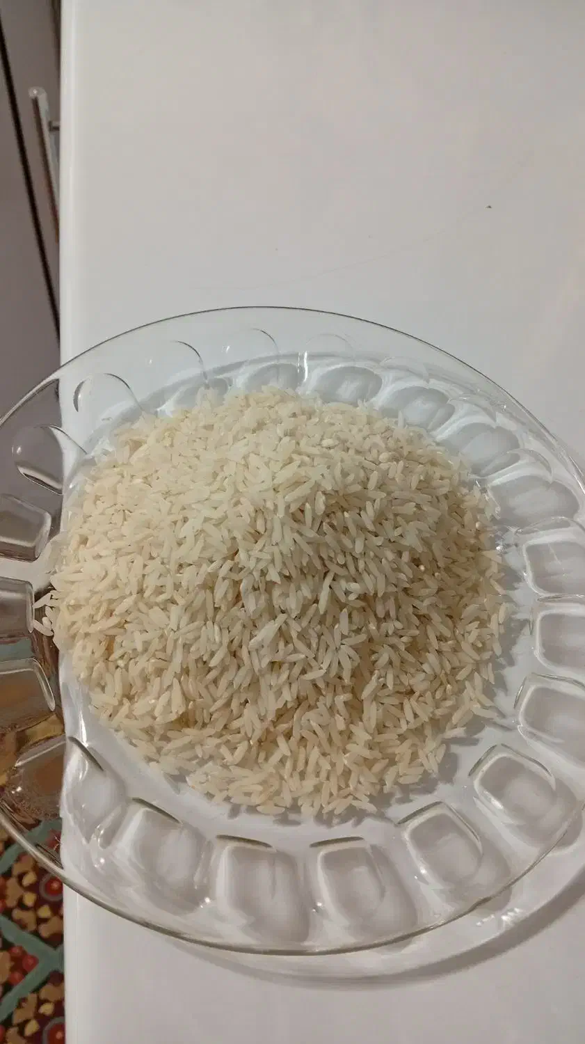 برنج امسال درگز|خوردنی و آشامیدنی|مشهد, امیریه|دیوار