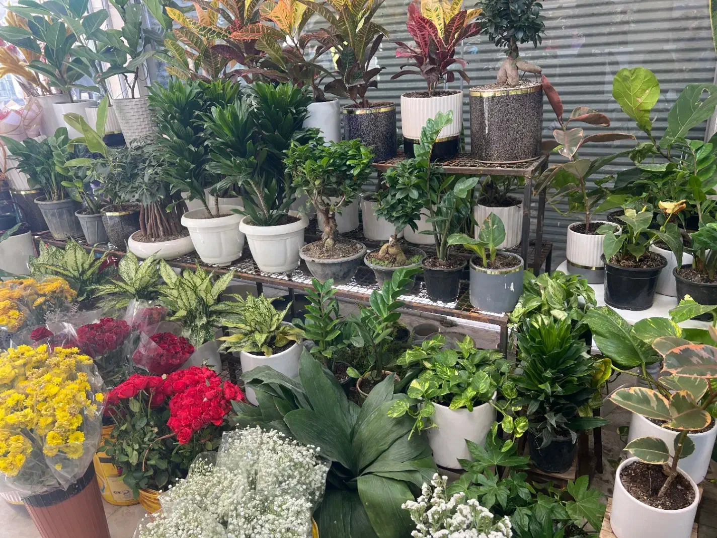 نیروی ساده اقا جهت کار در گل فروشی ۱۵ ال۲۰میلیون|استخدام بازاریابی و فروش|فردیس, نسترن غربی|دیوار