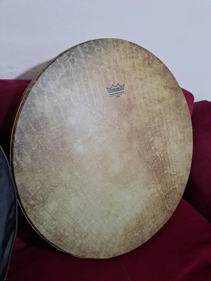 دف برند رمو همراه با کیف|سازهای سنتی|فردیس, فردیس|دیوار