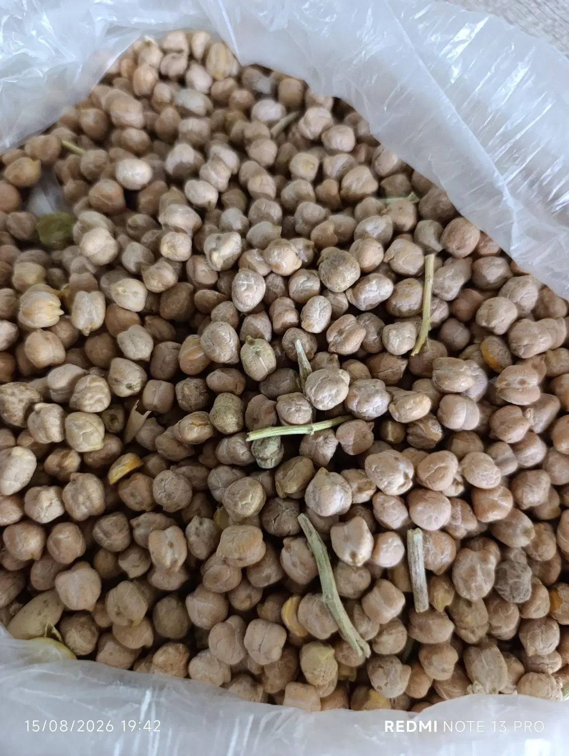 نخود|خوردنی و آشامیدنی|بروجرد, |دیوار