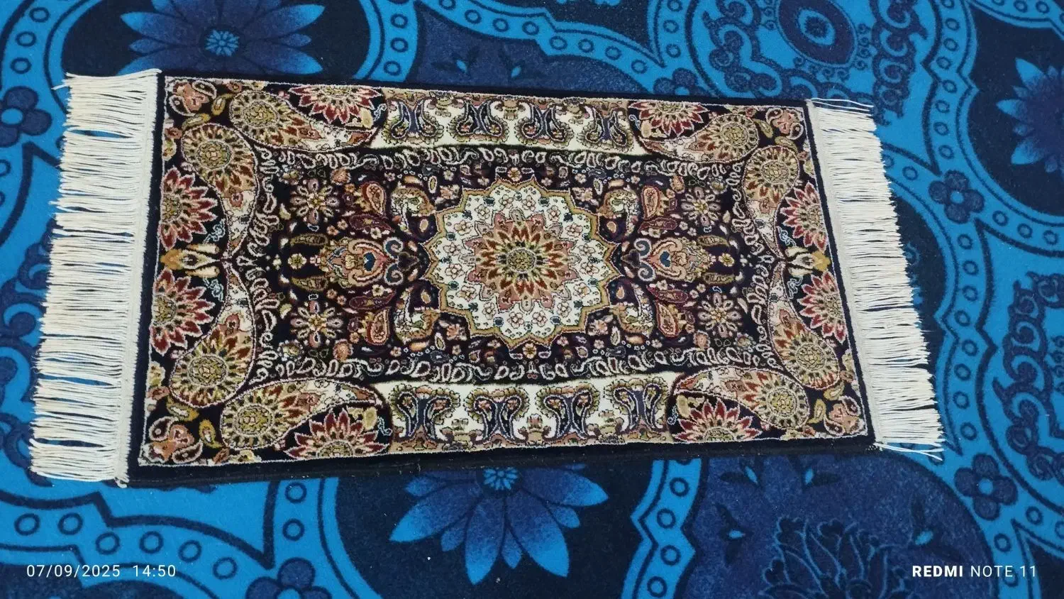 پادری ۵۰۰شونه|پادری|قم, علی آباد سعدگان|دیوار