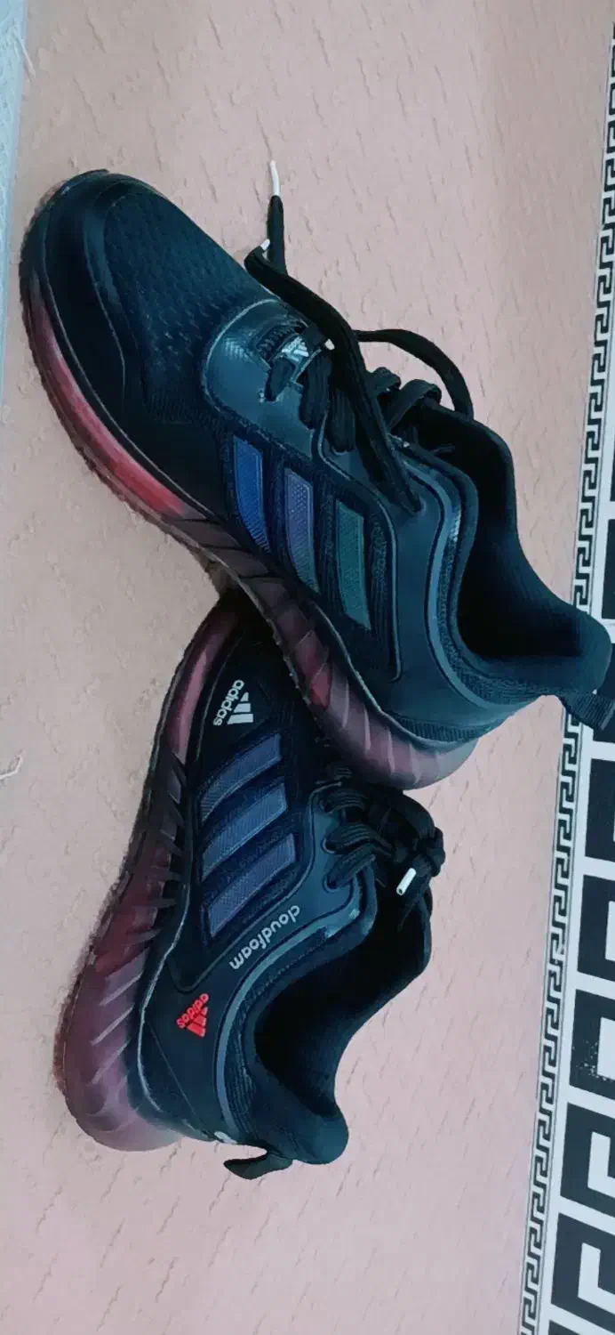 سایز ۴۱ خارجی اصل|کیف، کفش، کمربند|یاسوج, |دیوار