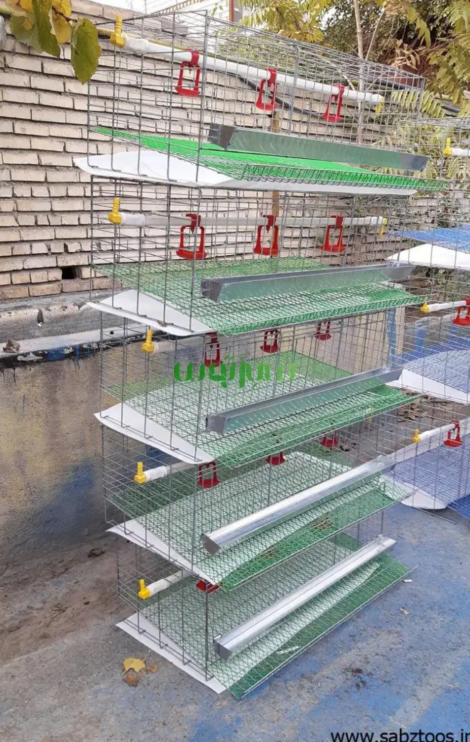 قفس|لوازم جانبی حیوانات|بجنورد, |دیوار