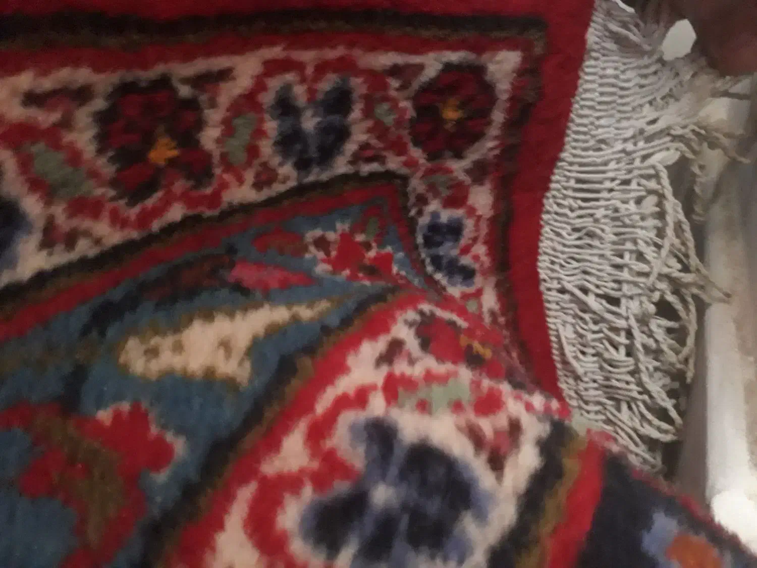 قالی ۱۲|فرش|اصفهان, برازنده|دیوار