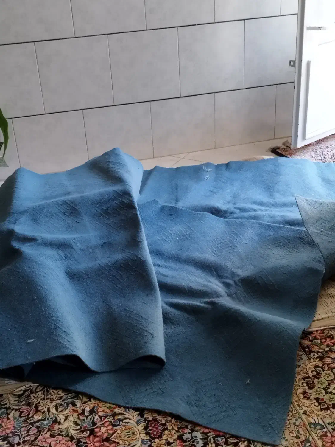 موکت|موکت|کرمان, |دیوار