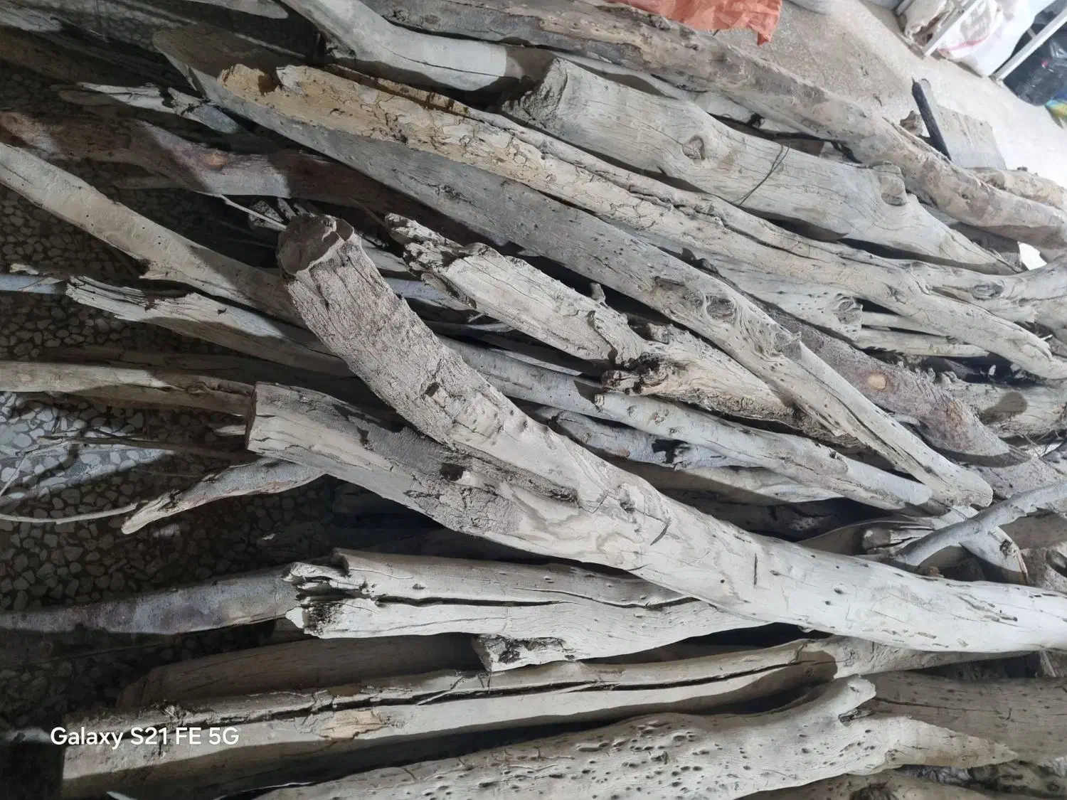 چوب هیزم|خدمات باغبانی و درختکاری|زابل, |دیوار