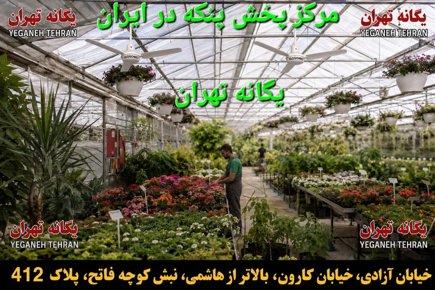 پنکه سقفی گل گلدون گل سرسبد کد F8920|پنکه و تصفیهکنندهٔ هوا|تهران, فرحزاد|دیوار