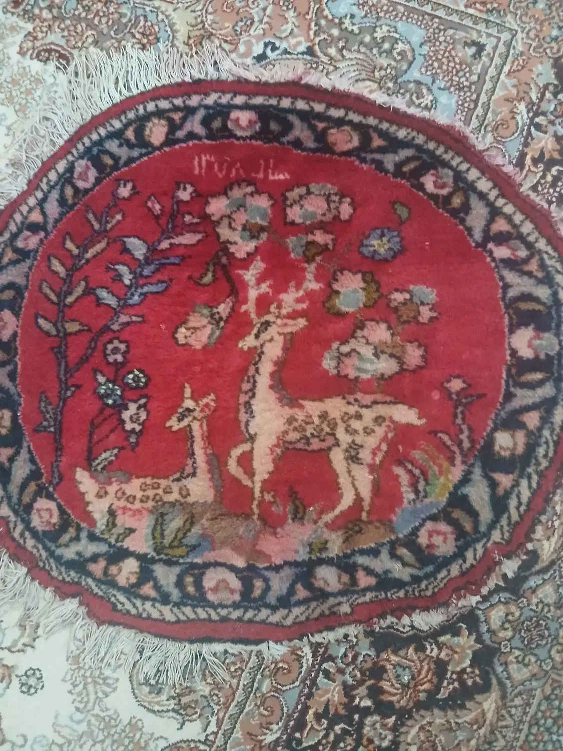 فرش دستباف|فرش|کرج, مطهری|دیوار