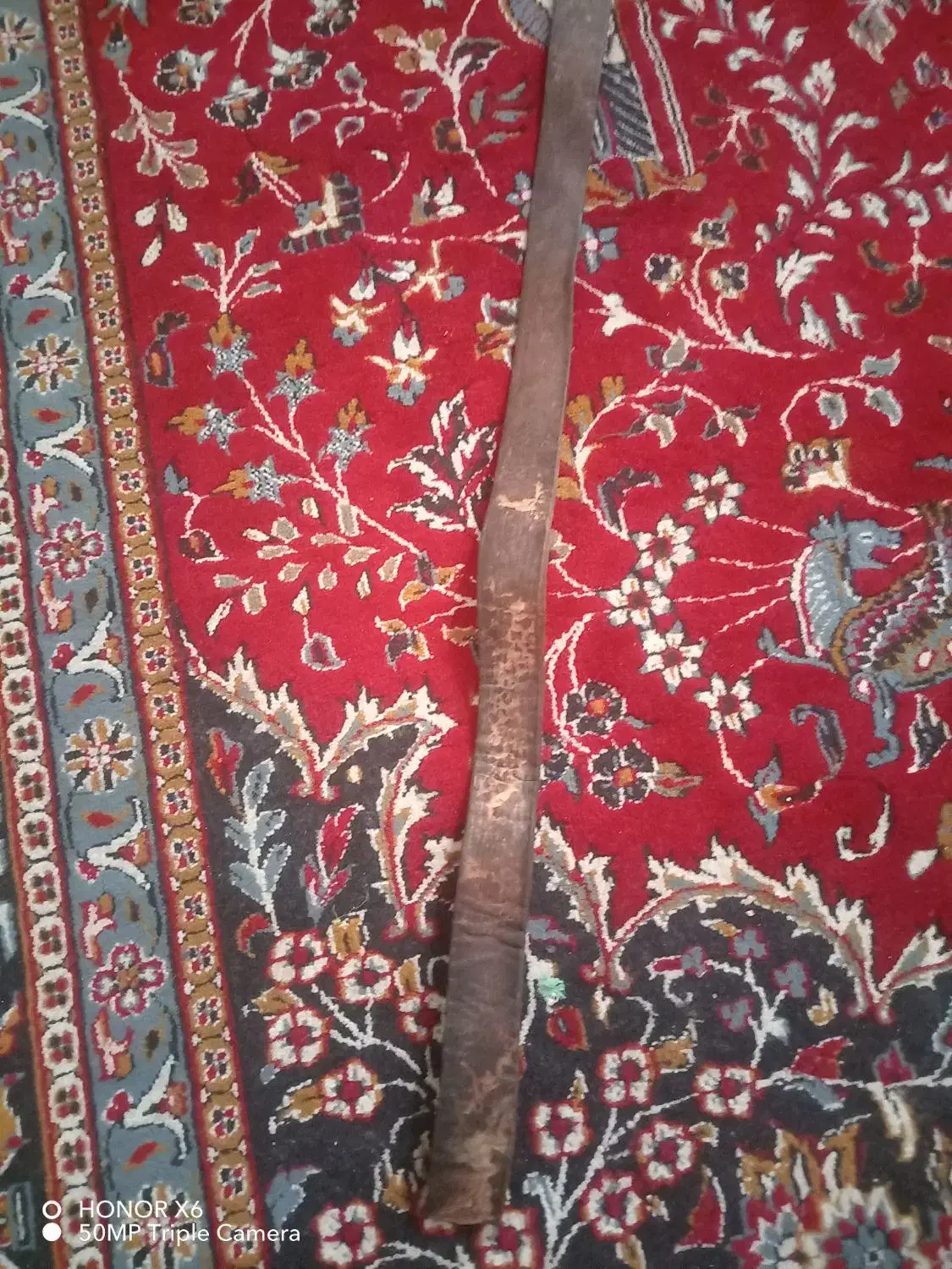 کمربند|کیف، کفش، کمربند|شهرضا, |دیوار