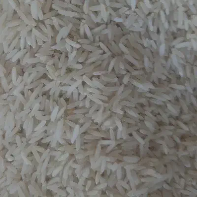 برنج فروشی استراباد|خوردنی و آشامیدنی|کاشمر, |دیوار