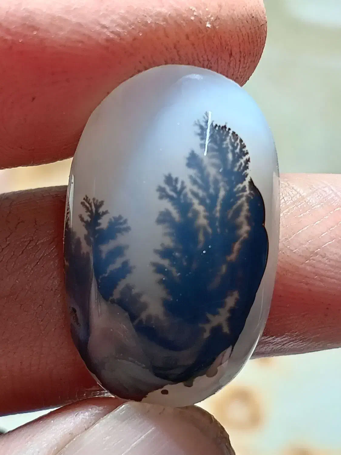 نگین شجرقائن|زیورآلات و اکسسوری|تربتحیدریه, طالقانی|دیوار