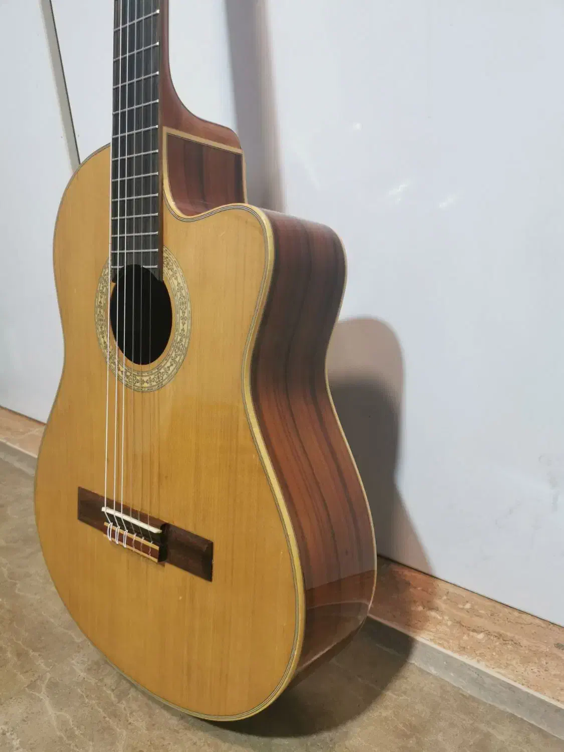 گیتار حرفه ای تاگیما|گیتار، بیس، امپلیفایر|اهواز, طالقانی|دیوار