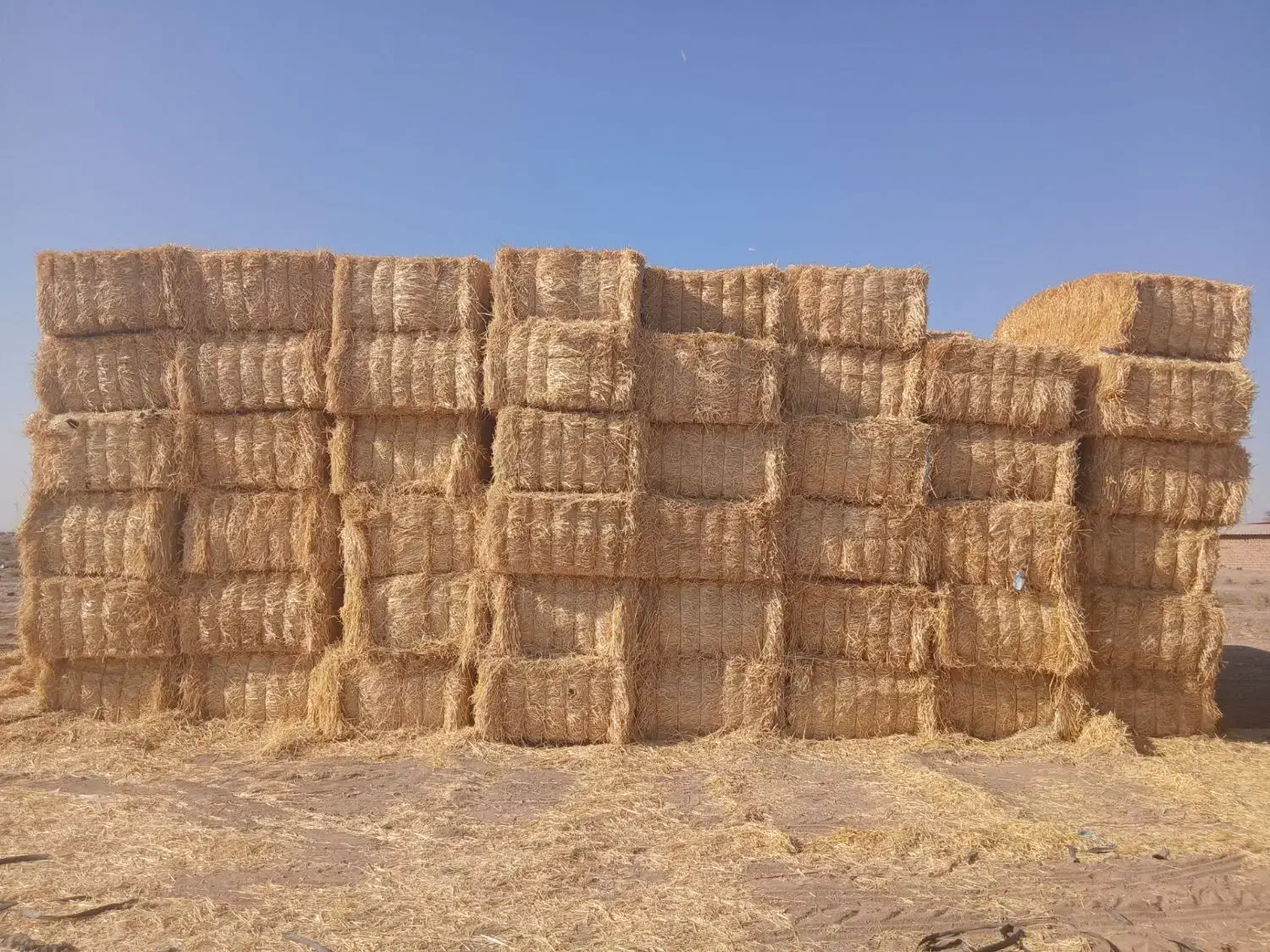 پرس کاه گندم بزرگ|حیوانات مزرعه|ورزنه, |دیوار