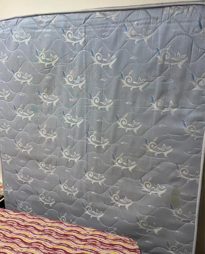 تشک دونفره طبی فنری|تشک تختخواب|دوگنبدان, |دیوار