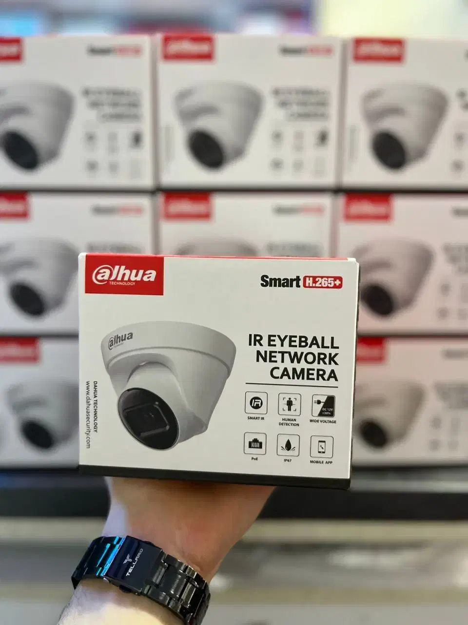 دوربین مداربسته پروژکتور ومیکروفن دار|دوربین مداربسته|سیرجان, |دیوار