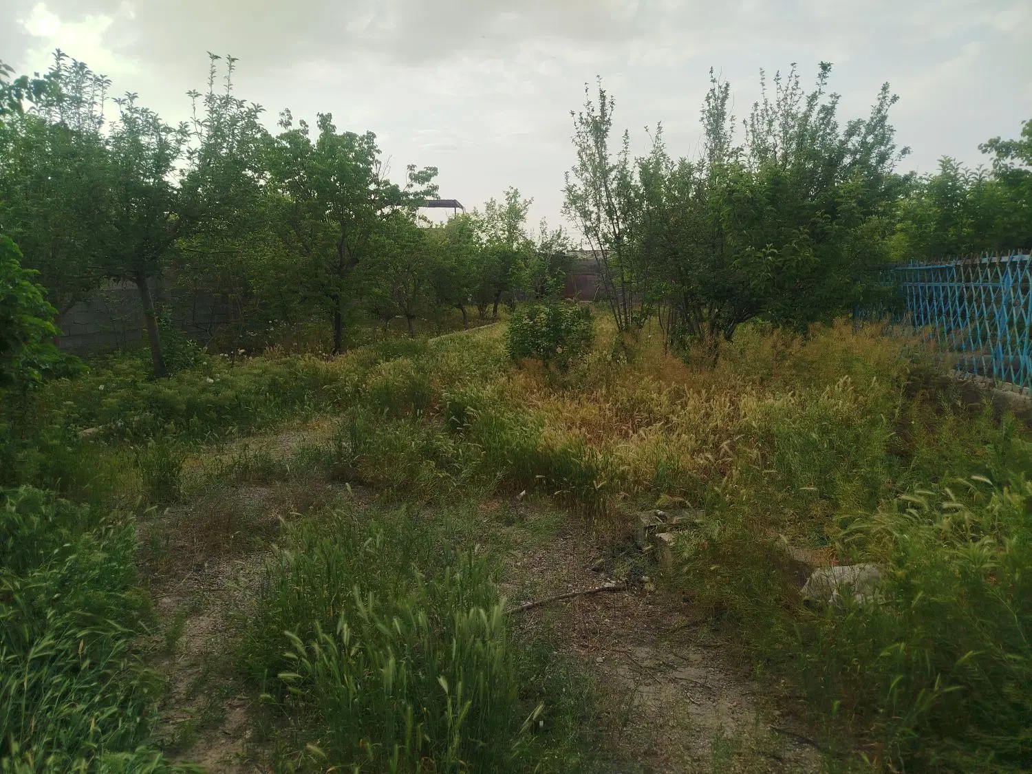 تصویر 3