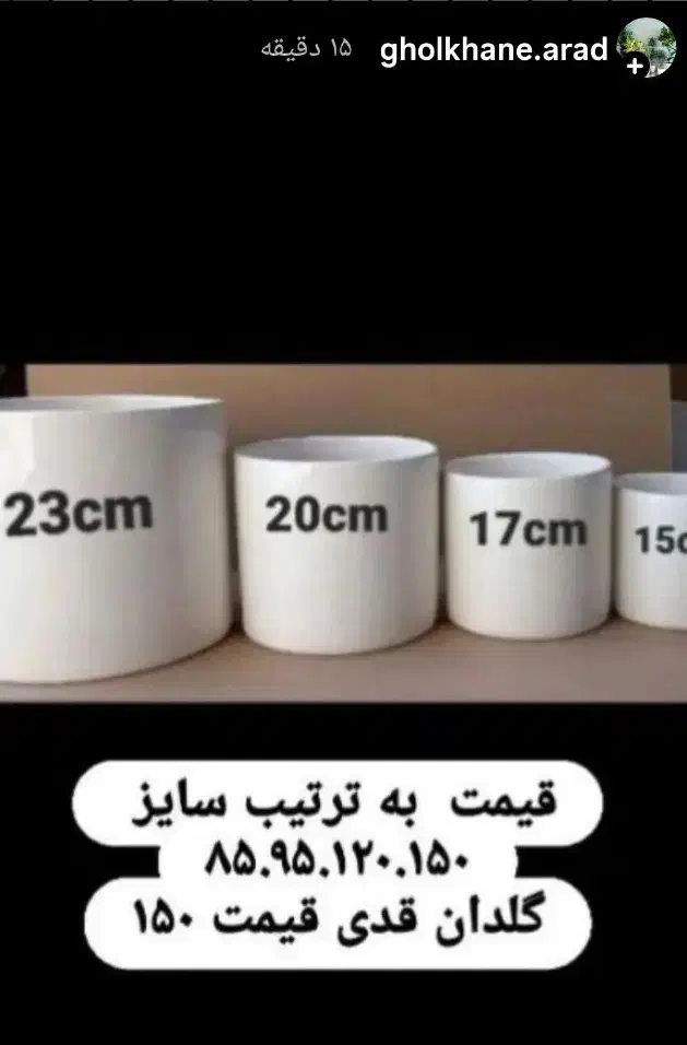 تخفیف گل و گیاه طبیعی به مدت دو روز|گل و گیاه طبیعی|خواف, |دیوار