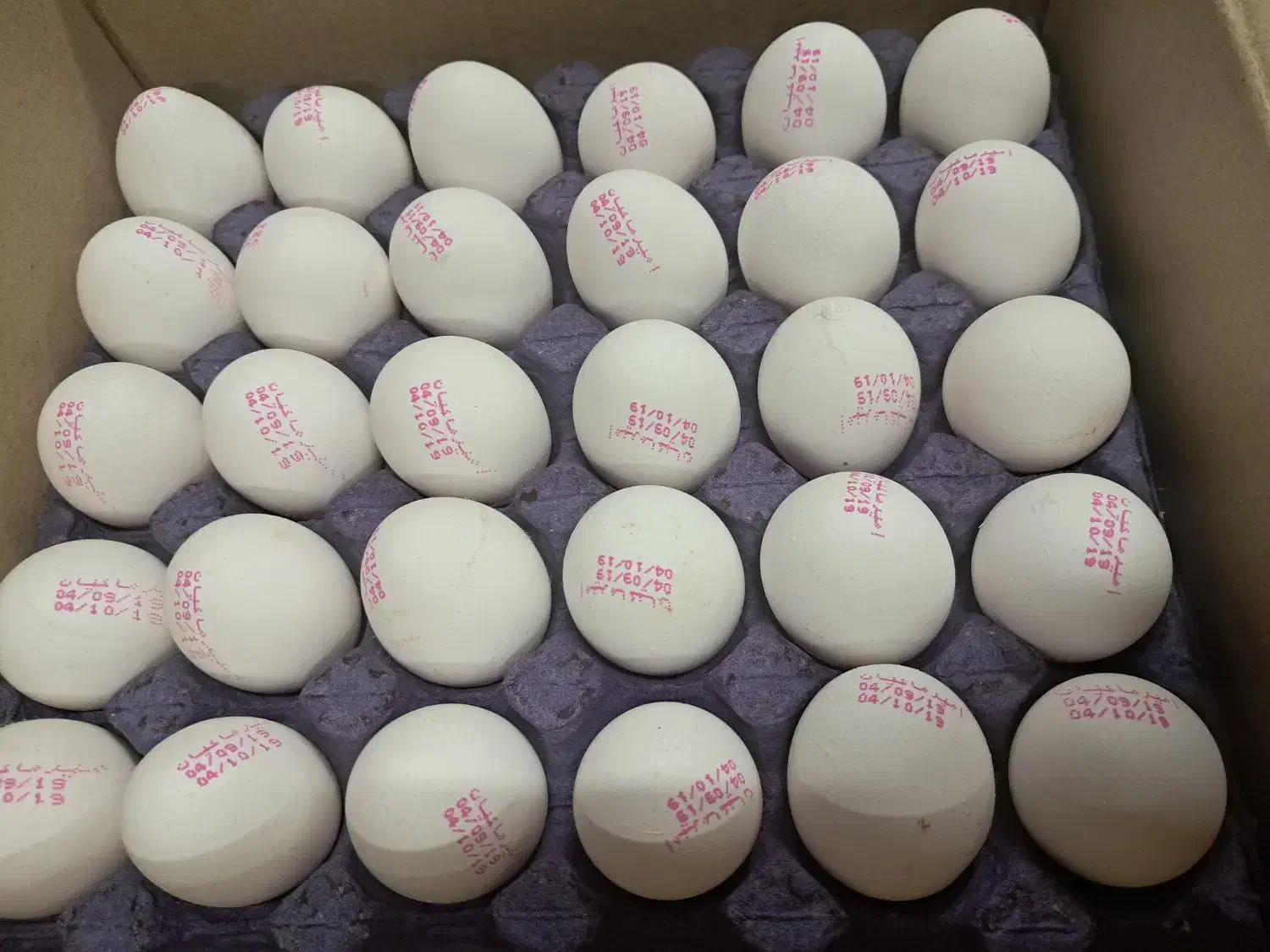 پخش و فروش عمده تخم مرغ|خوردنی و آشامیدنی|تهران, مینابی|دیوار