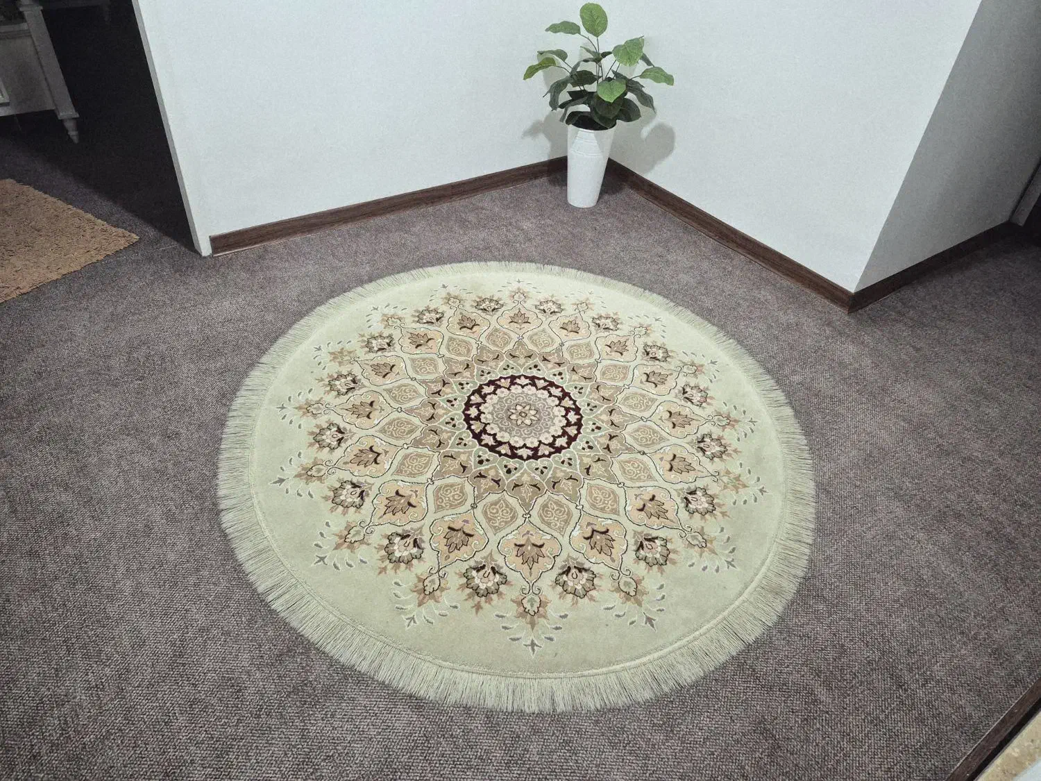 فرش گرد ۳ متری نو|فرش|اهواز, کوی باهنر|دیوار