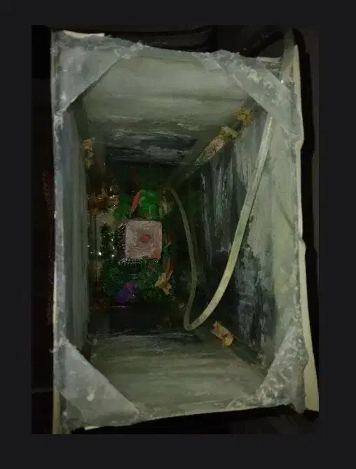 آکواریوم|ماهی|بروجرد, |دیوار