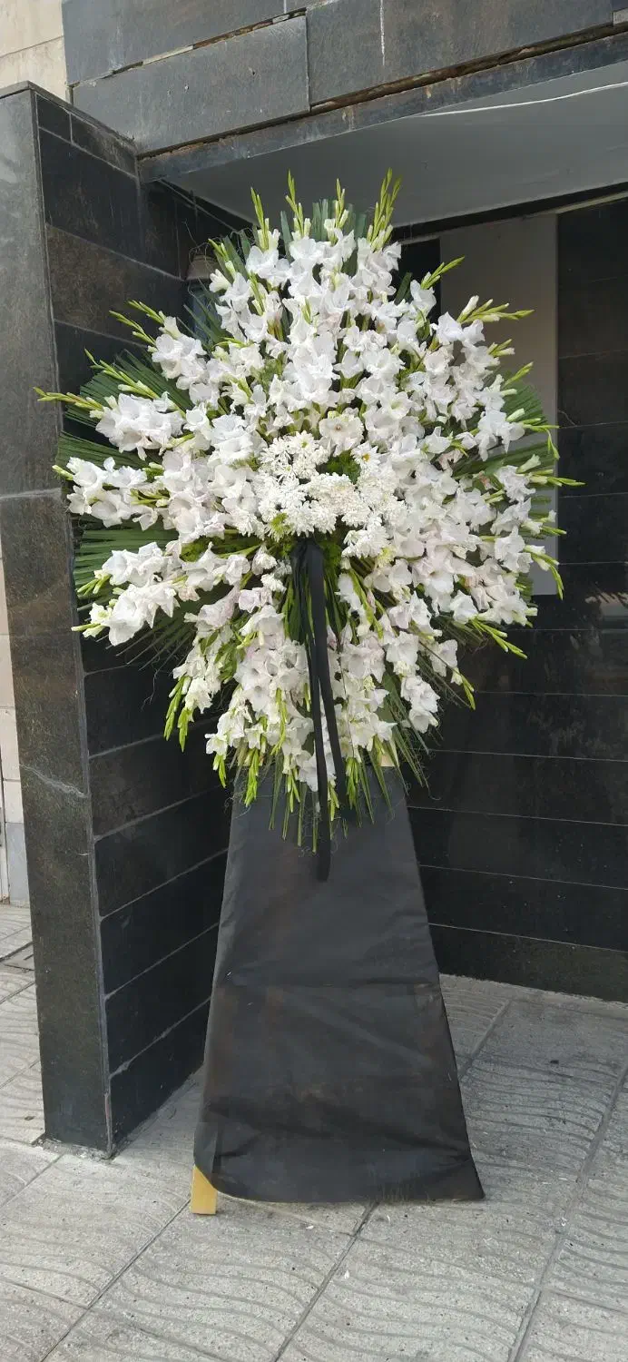 تاج گل|گل و گیاه طبیعی|تهران, فرحزاد|دیوار