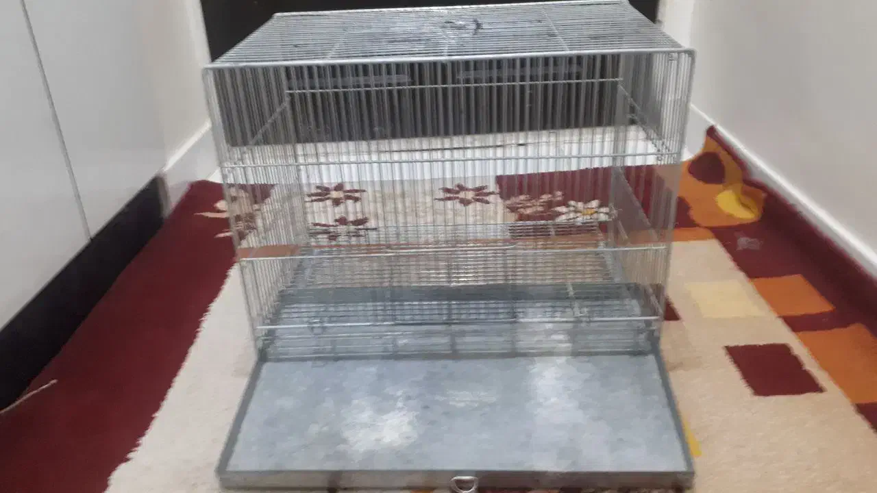 قفس پرنده محکم|لوازم جانبی حیوانات|سهند, |دیوار