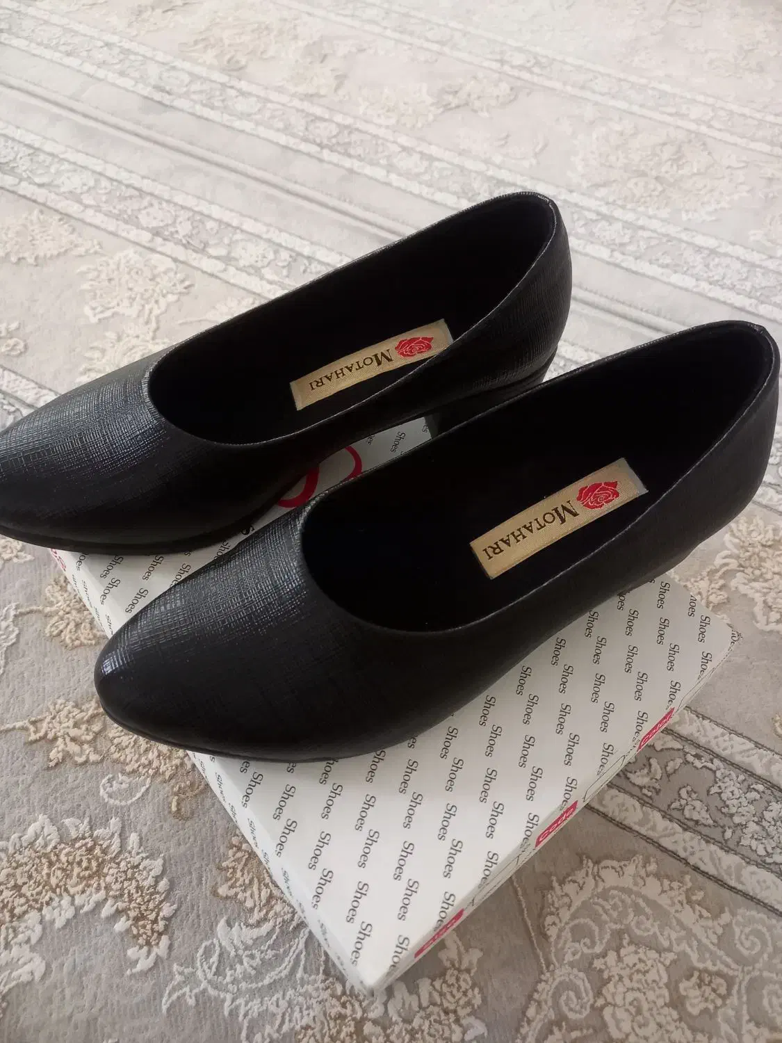 کفش|کیف، کفش، کمربند|قزوین, |دیوار