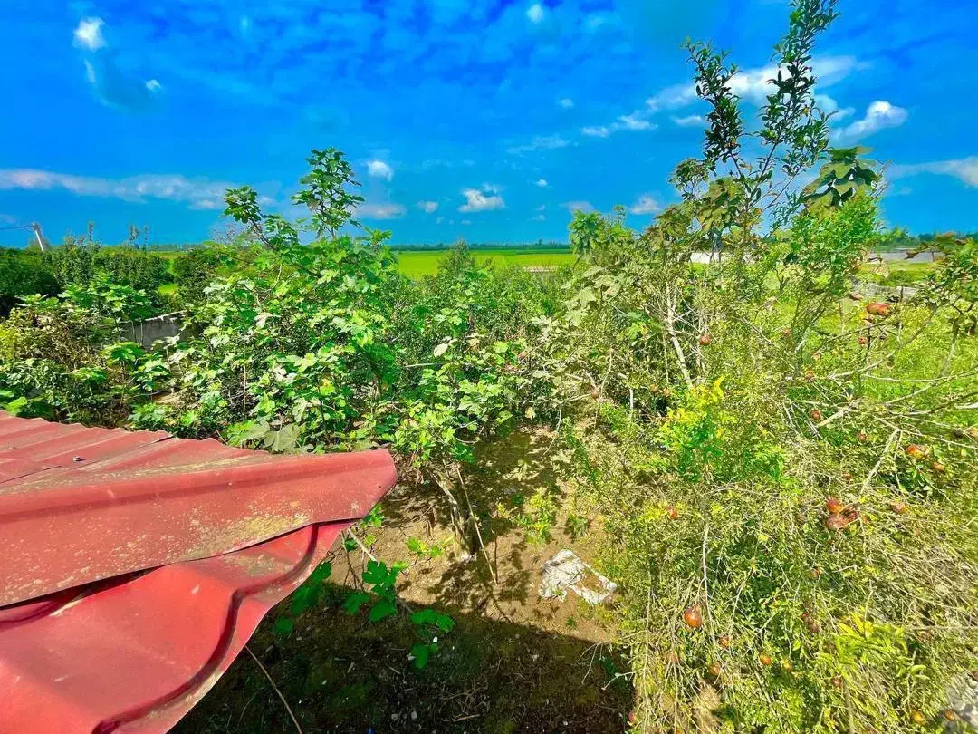 1200mبهشت زیبا قیمت استثنایی* نزدیک فریدونکنار|فروش خانه و ویلا|آستانه سرا, |دیوار