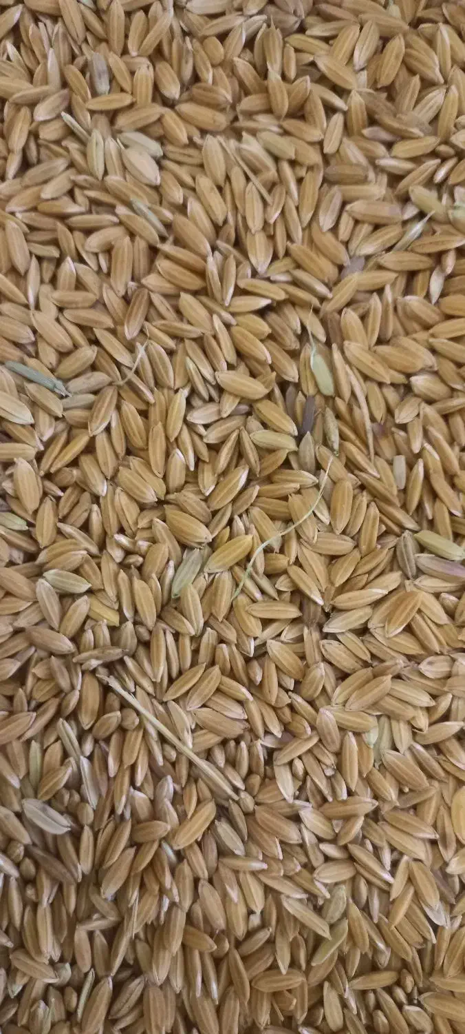 چلتوک لنجان|خوردنی و آشامیدنی|لنجان, |دیوار