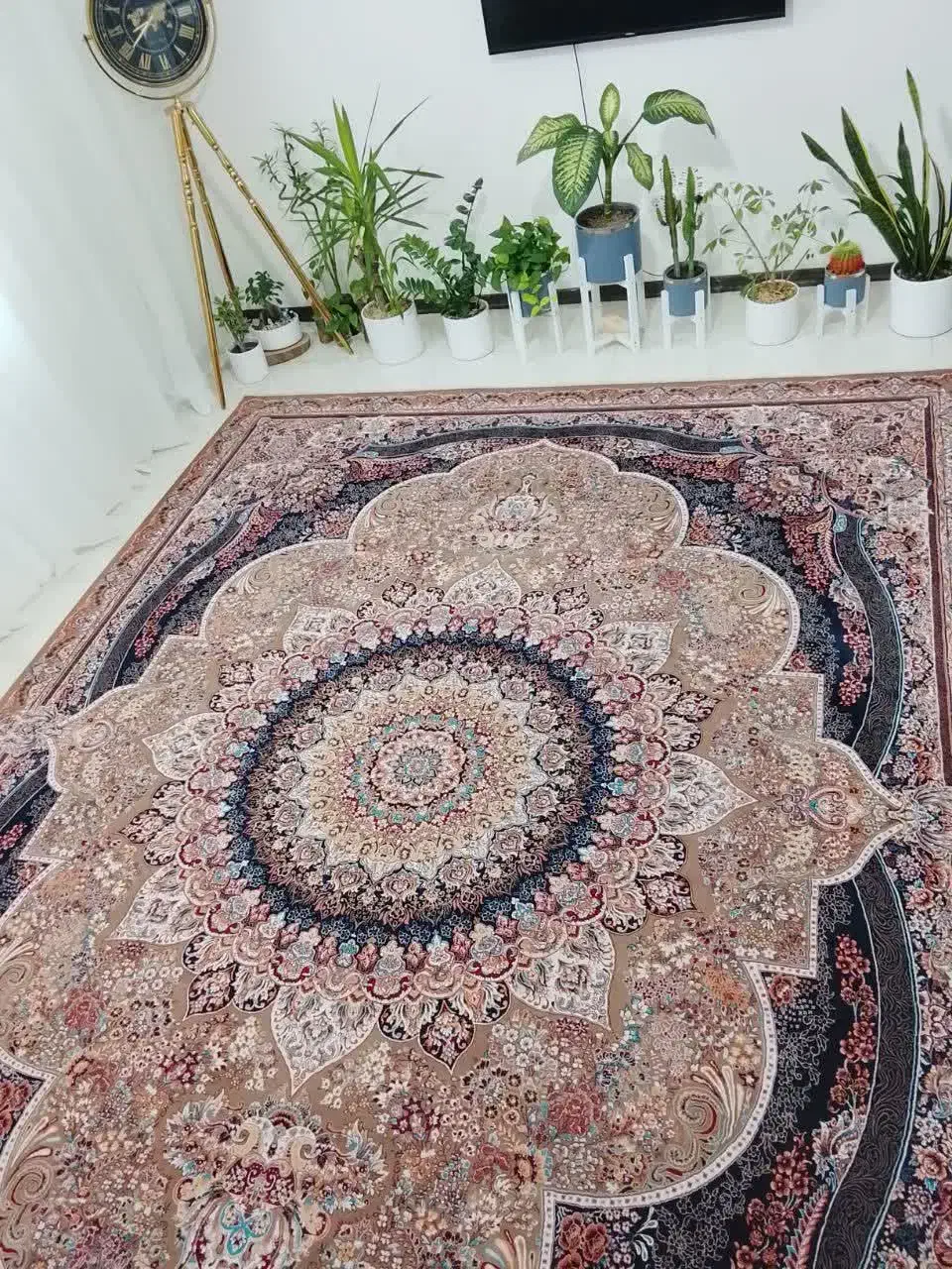 قالی|فرش|گلبهار, شهر جدید گلبهار|دیوار