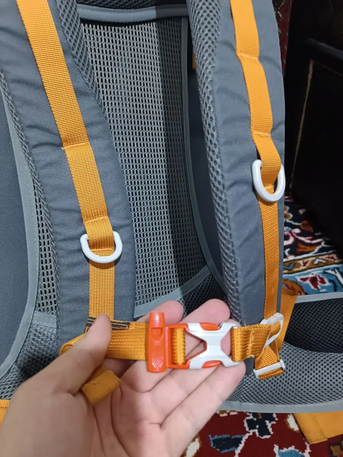 کوله کوهنوردی 45+5|کوهنوردی و کمپینگ|تربتحیدریه, بی بی حسنیه|دیوار