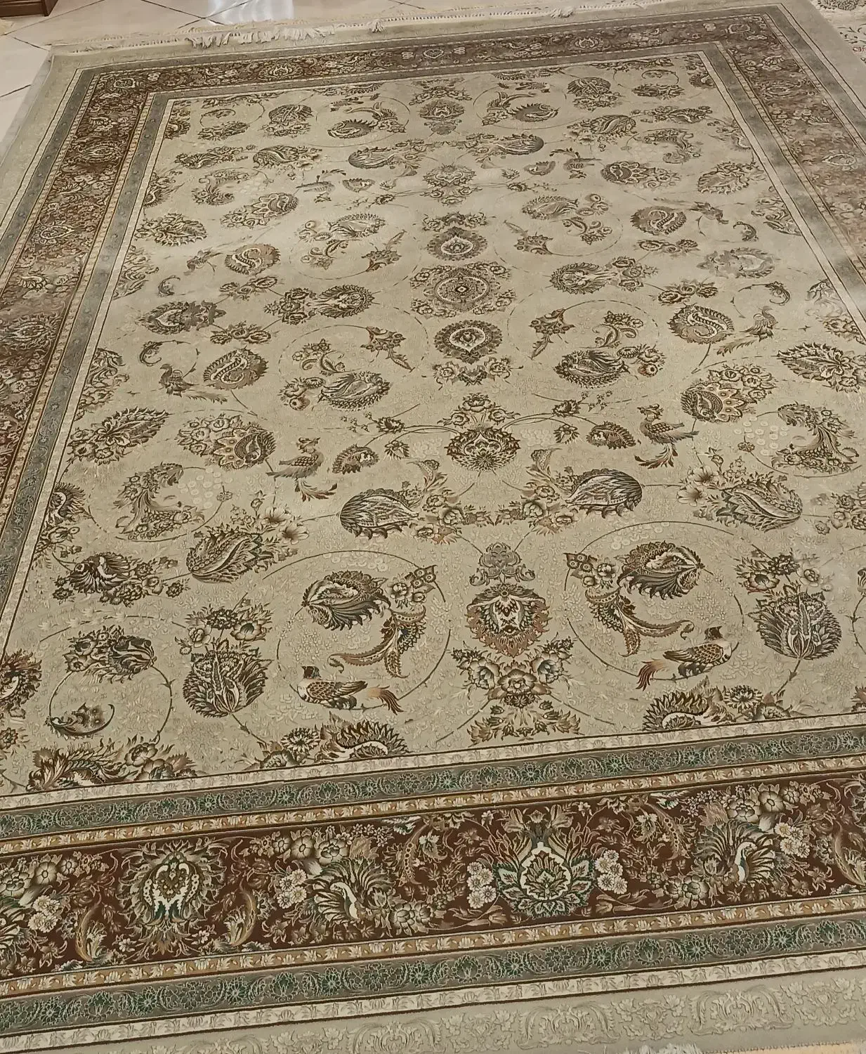 فرش قیطران 12متری|فرش|ری, دیلمان|دیوار