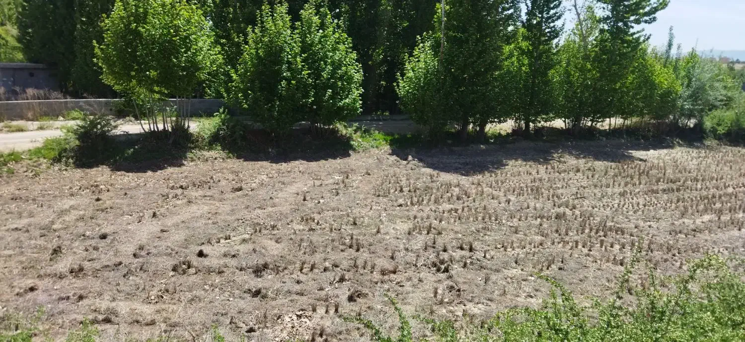 زمین باغی کشاورزی|فروش زمین و ملک کلنگی|مبارکه, |دیوار