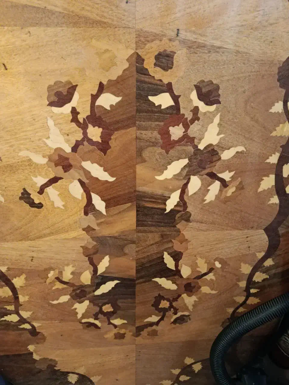 میز غذاخوری|میز و صندلی غذاخوری|سهند, |دیوار